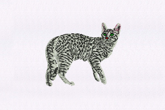 Black White Cat Design: An Embroidery Review