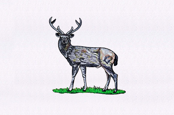 White Tailed Deer Design: A Craft Fair Review